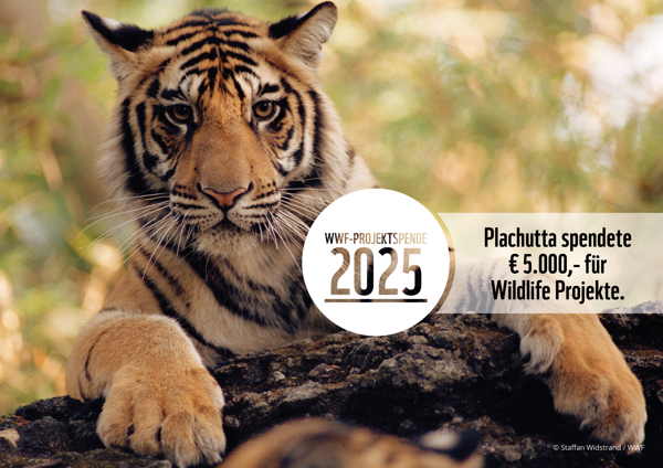 A tiger lies on a rock next to a sign announcing a donation of €5,000 for wildlife projects.